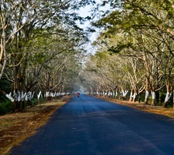 1Night-2Days-Odisha-Tour